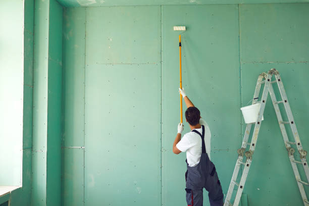 Best Mold Damage Restoration  in Flora, MS