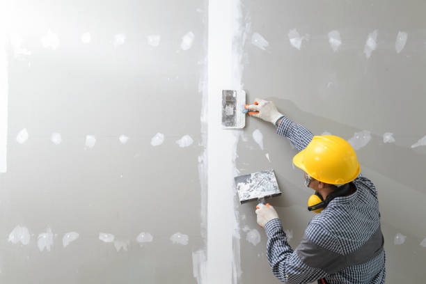 Best Airborne Mold Testing  in Flora, MS