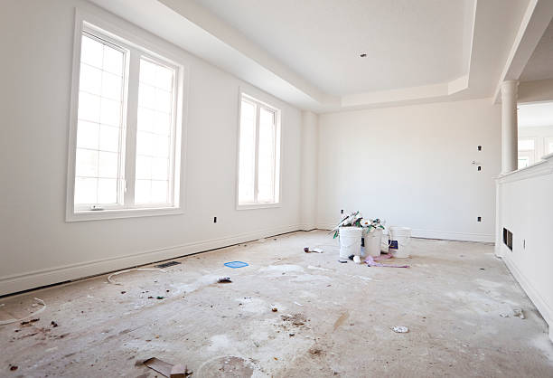 Best Basement Mold Removal  in Flora, MS