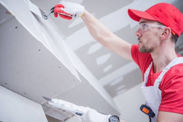 Best Mold Removal for HVAC Installations  in Flora, MS